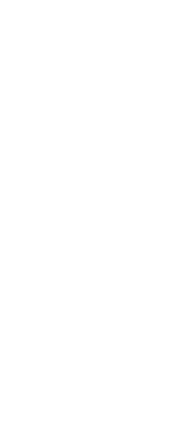 Velvo